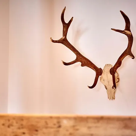 Zum Servus Apartamento *