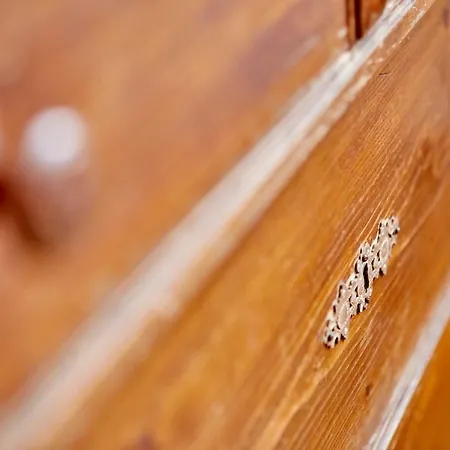 Zum Servus Apartamento