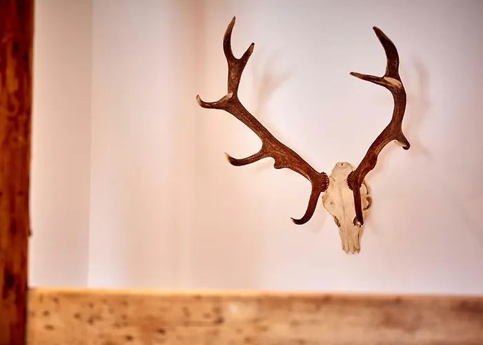 Zum Servus Appartement *