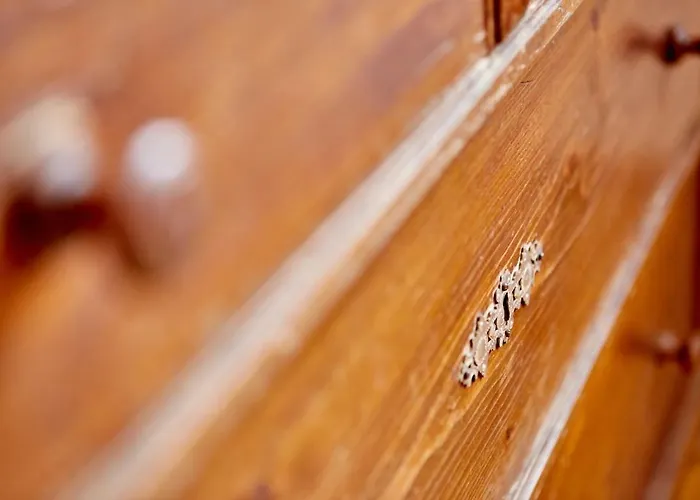 Zum Servus Appartement